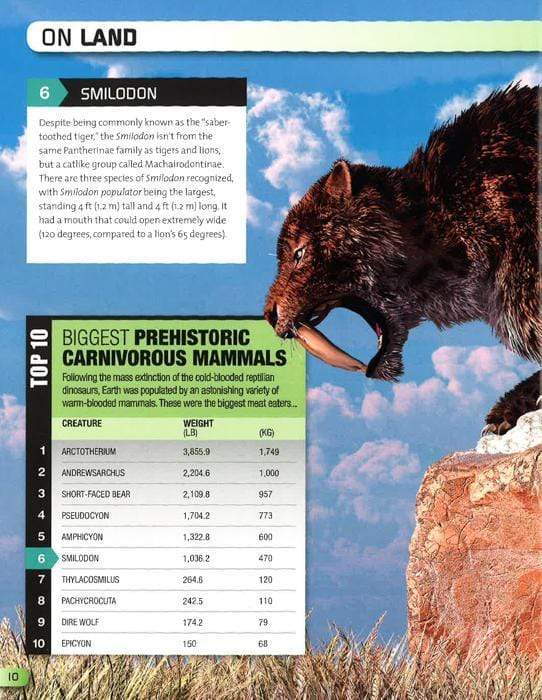 Top 10 Of Everything 2019