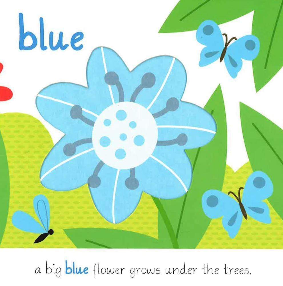 Touch, Feel, Explore: Red And Blue