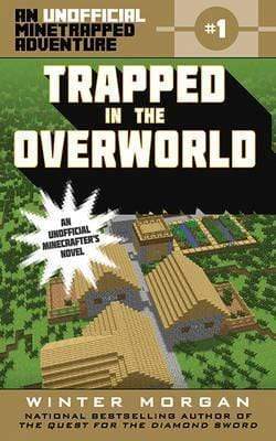 Trapped In The Overworld