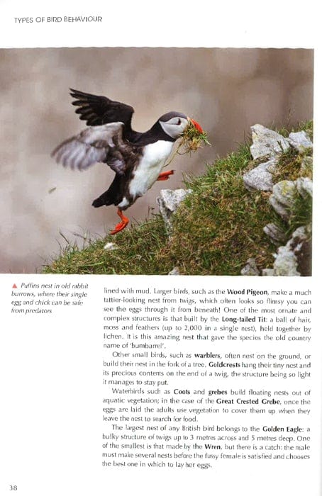 Understanding Bird Behaviour