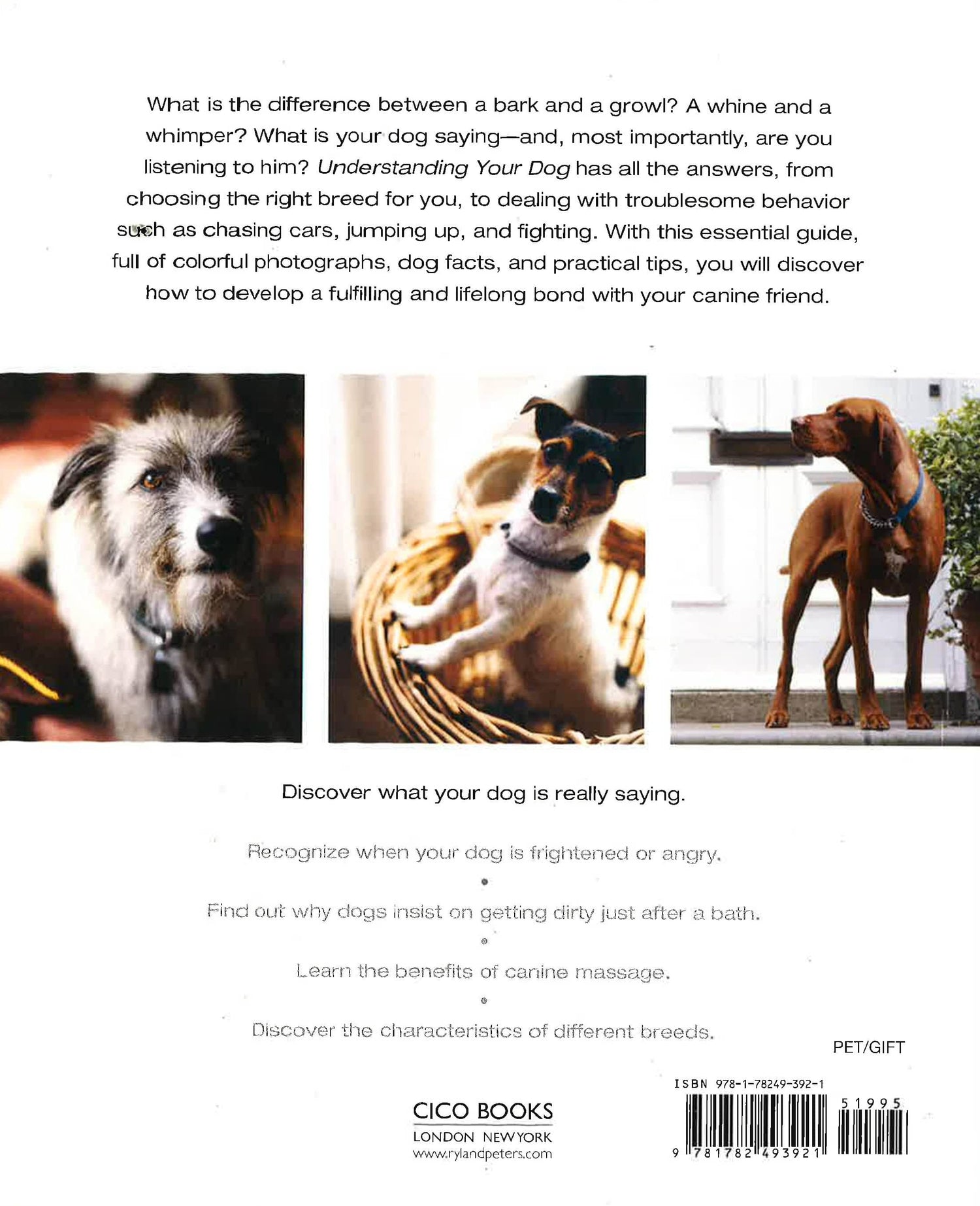 Understanding Your Dog: How To Interpret What Your Dog Is Really Telling You