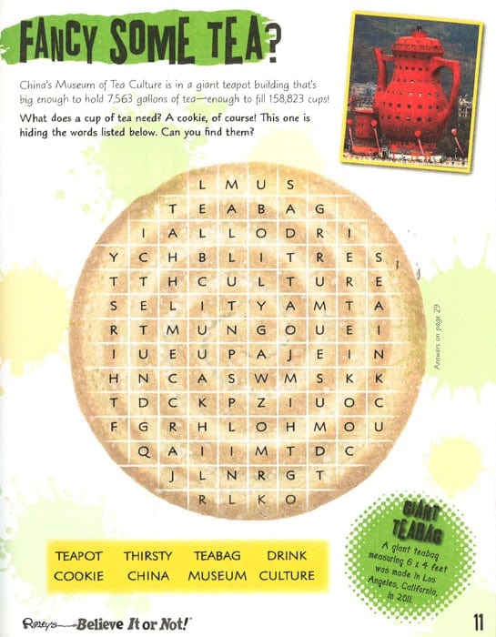 Wacky Word Search Book