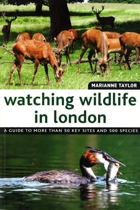 Watching Wildlife In London