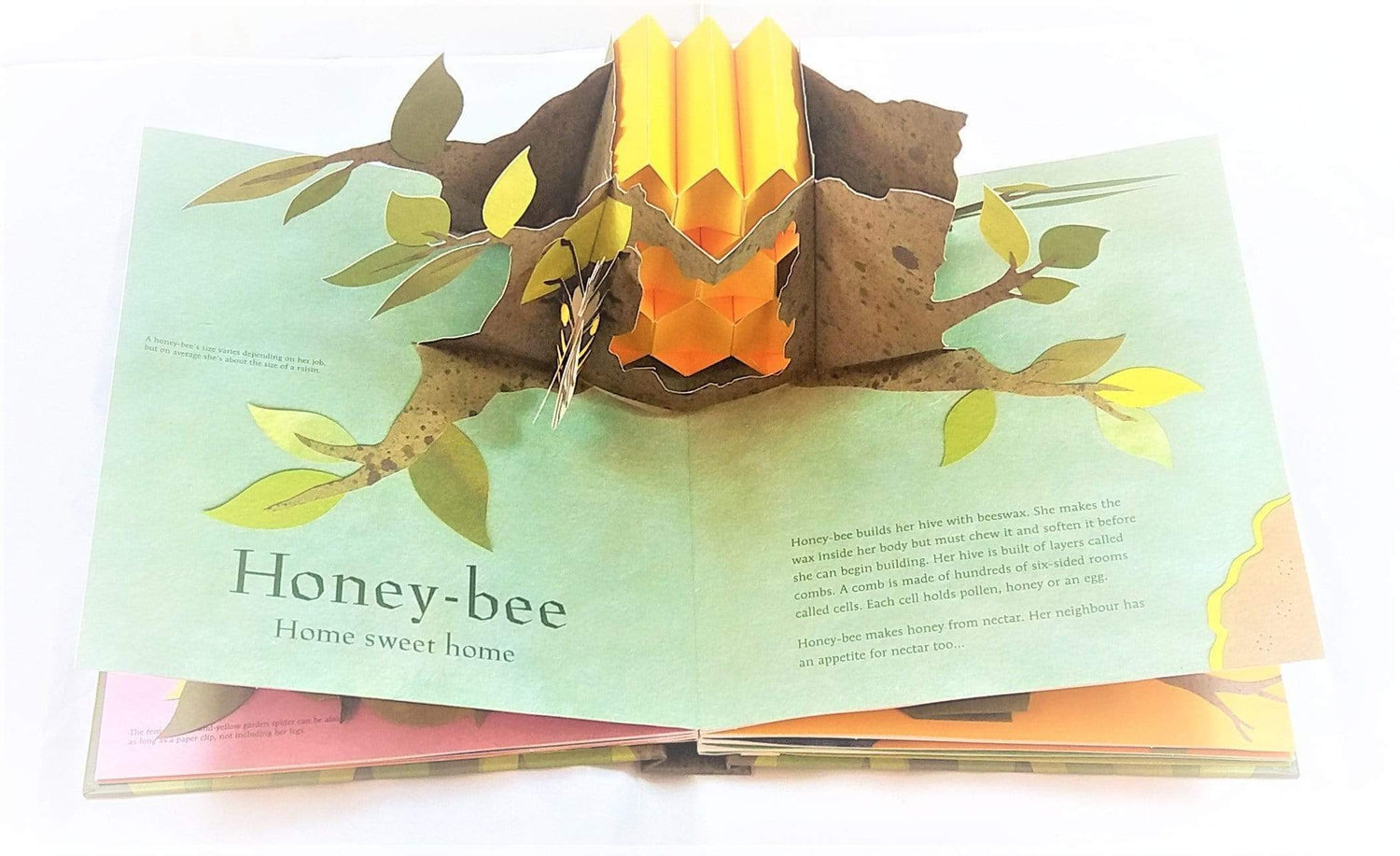 Welcome To The Neighbourwood