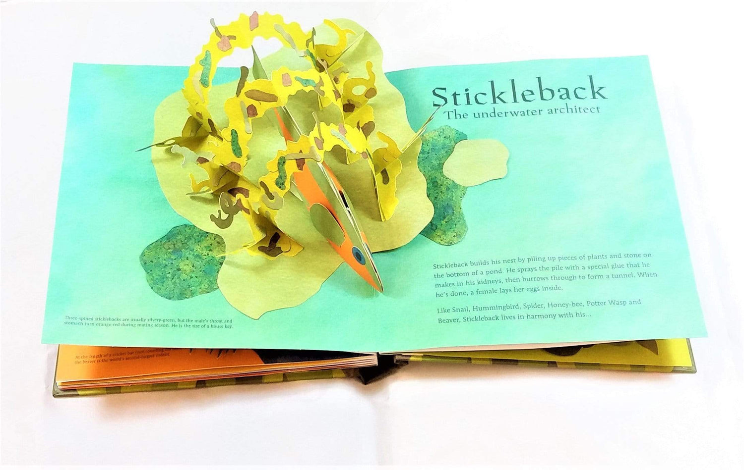 Welcome To The Neighbourwood