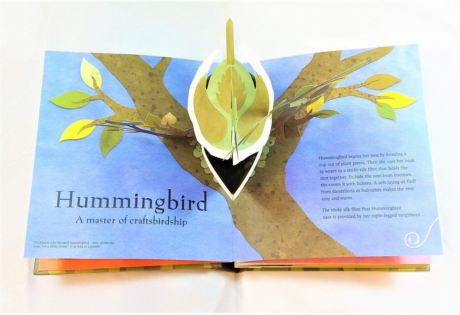 Welcome To The Neighbourwood