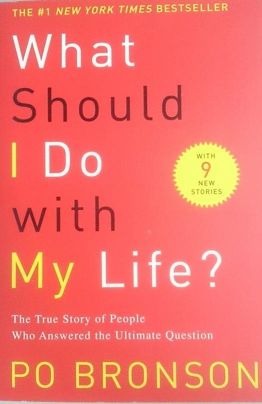What Should I Do with My Life : The True Story of People Who Answered the Ultimate Question