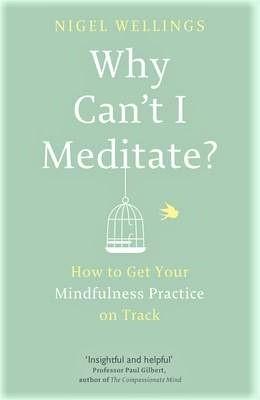 Why Can't I Meditate?