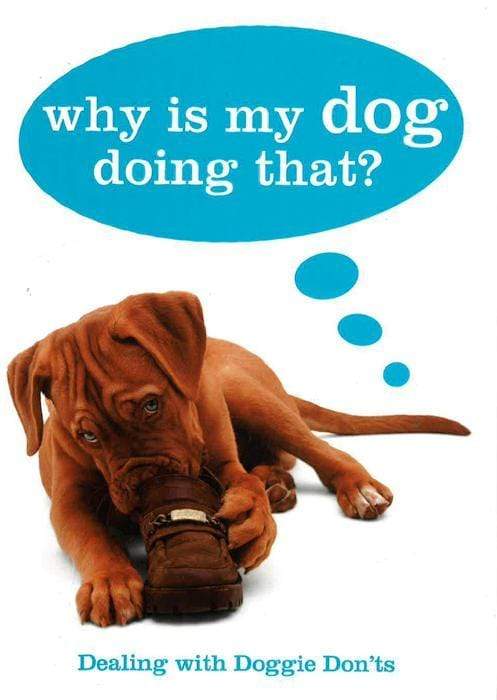 Why Is My Dog Doing That?