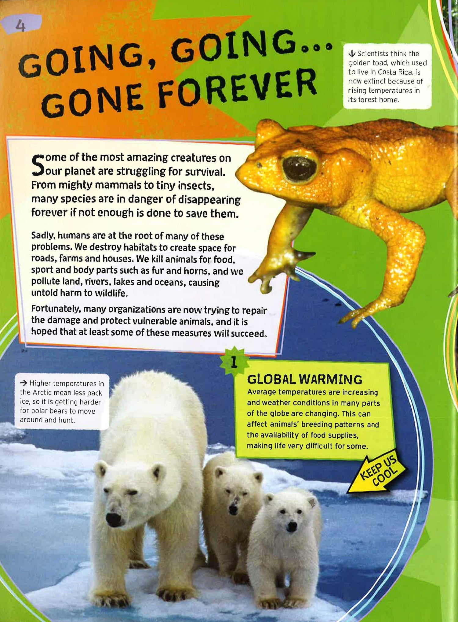 Wild Nature: Endangered Animals