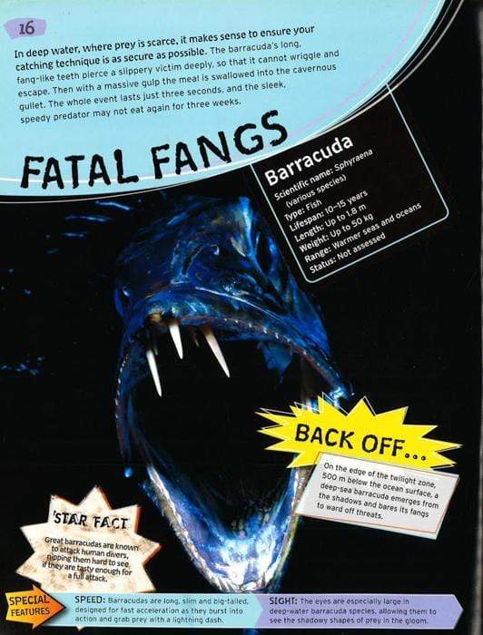 Wild Nature: Fierce Predators