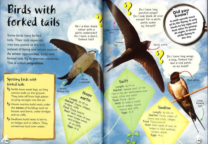 Wildlife Watcher: Spot Bugs, Birds, Small Mammals, And Plants Around You