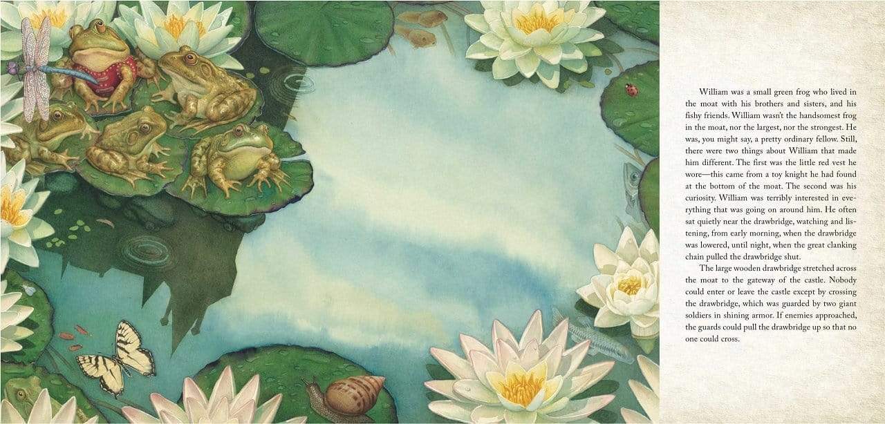 William The Curious: Knight Of The Water Lilies (Hb)