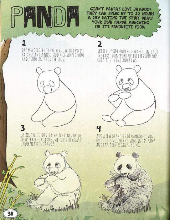 You Can Draw Animals